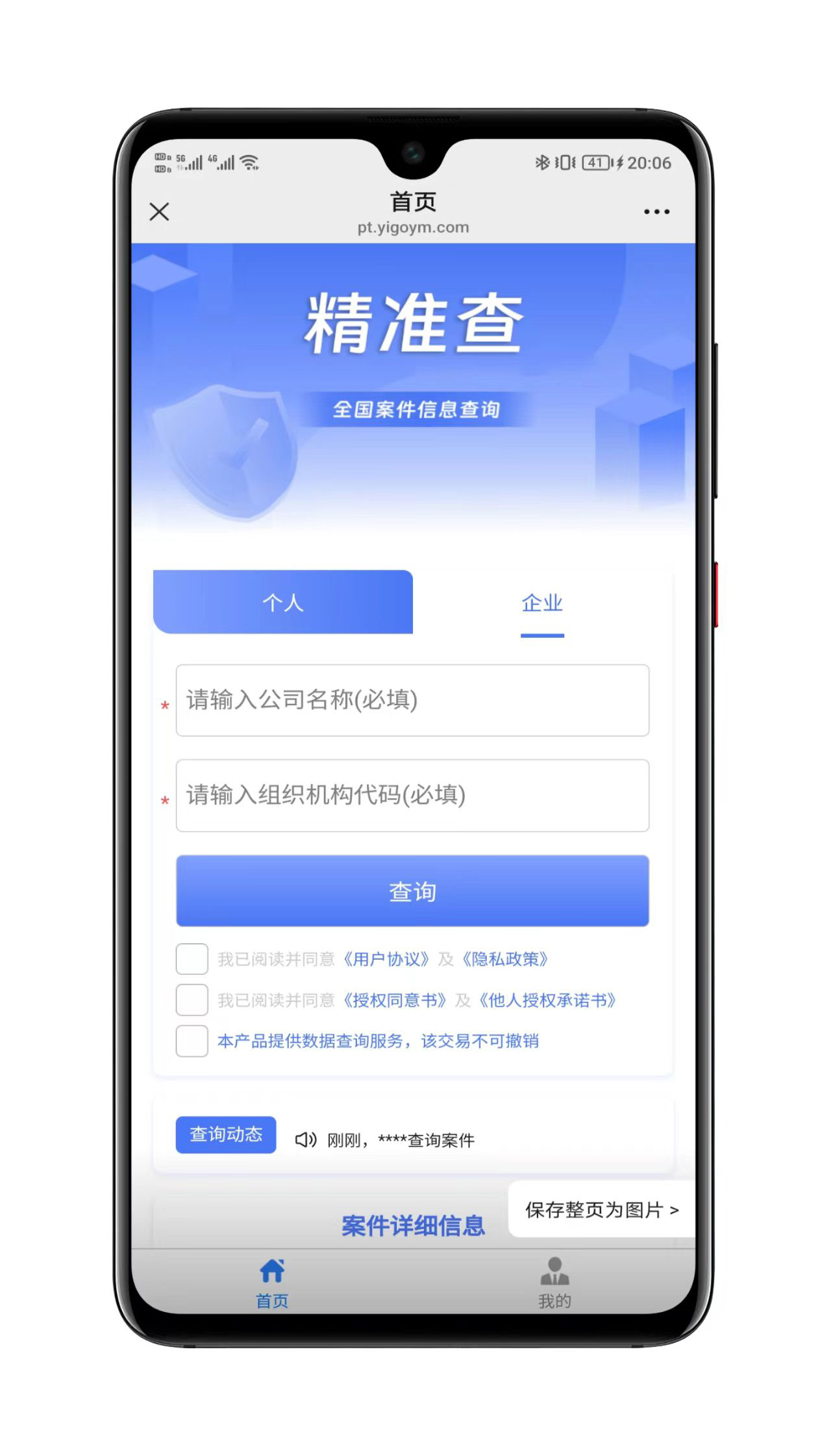 司法涉诉查询功能详细界面