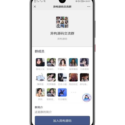 九块九付费进群系统独立版 - 完美运营的分站分销群组系统