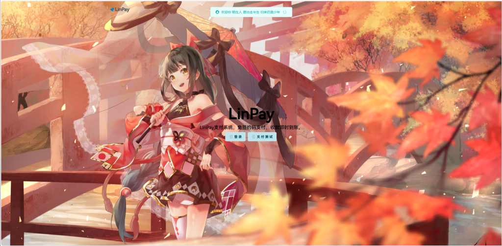 LinPay码支付界面展示