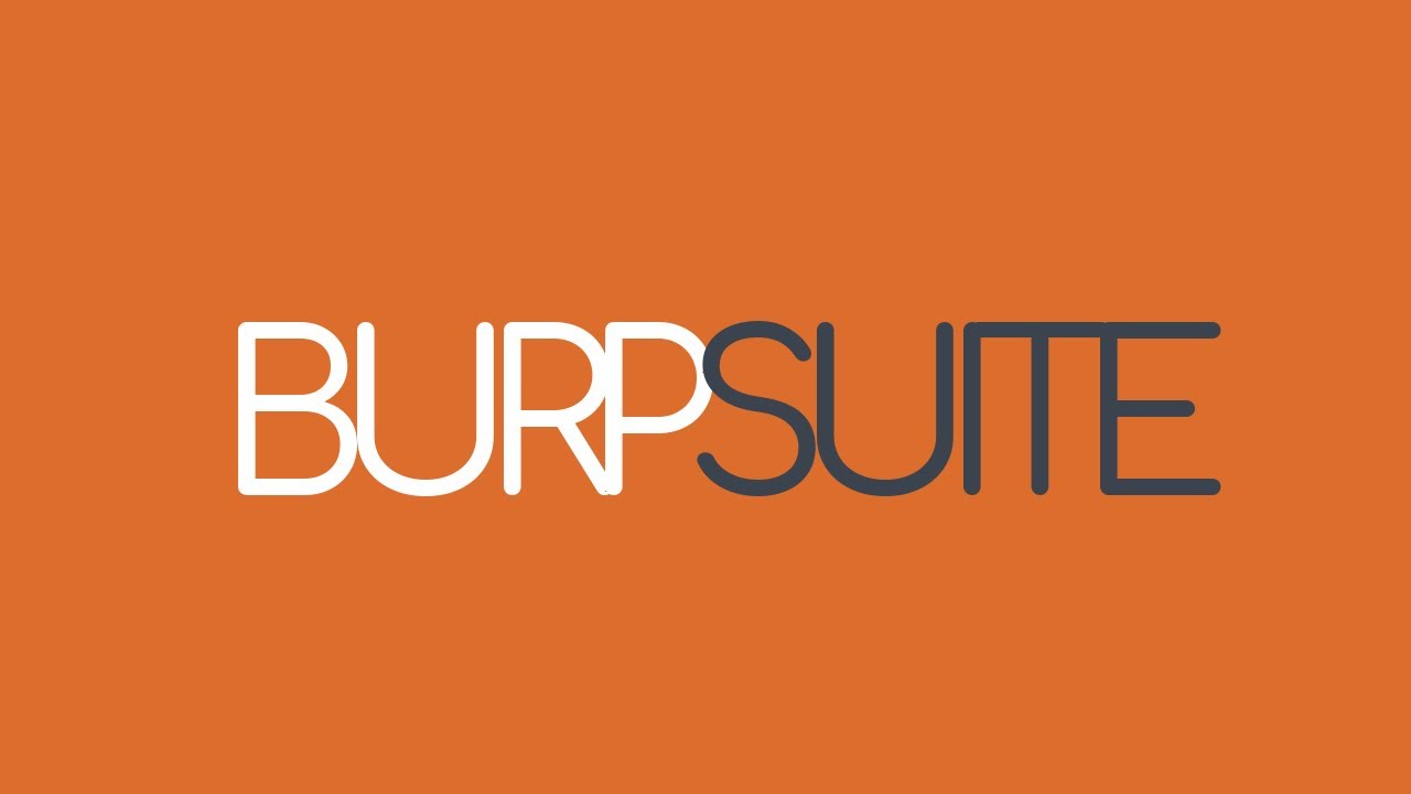 Burp Suite 工具界面展示