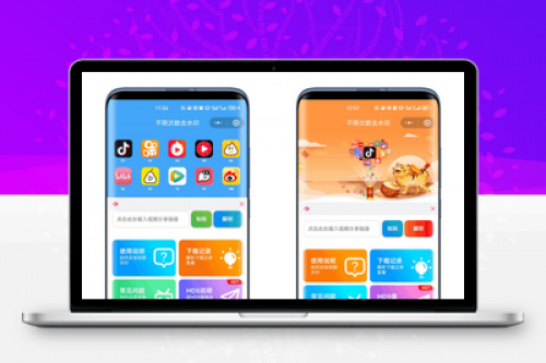 最新去水印小程序系统源码 - 多套模板免授权含安装教程