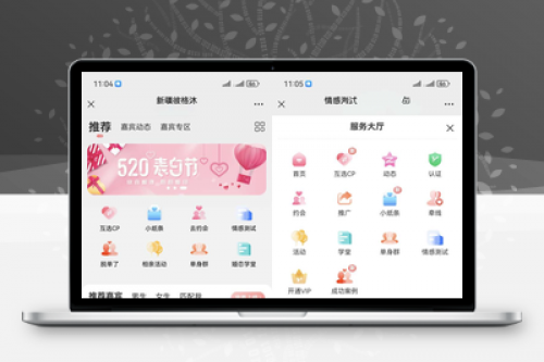 相亲交友系统源码 V10.5 - 婚恋相亲、媒婆返利、红娘系统、商城功能